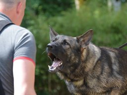 01.07.2023 offenes training 37